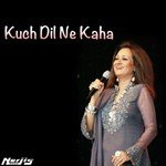 Teray Ishq Main Bushra Ansari Song Download Mp3