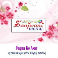 Bahara Rahe La Bhatar Shailesh Sagar Song Download Mp3