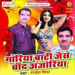 Lage Na Kehu Na Tohare Jaisan Rahesh Mishra Song Download Mp3