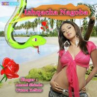 Mi Nar Gulzar Mukesh Patil Song Download Mp3