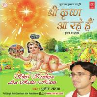 Raat Nayi Baat Nayi Jeevan Ki Suruaat Nayi Puneet Mehta Song Download Mp3