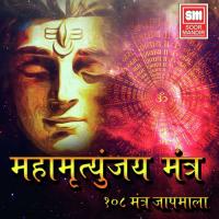 Mahamritunjay Mantra 2 Sachin Limaye Song Download Mp3