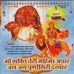 Ghar Ghar Howe Teri Puja Lakhbir Singh Lakha,Mukesh Bagda,Sunita Panchal,Tripti Shakya,Jassi Kalra,Rajkumar Raj,P. Ramawtar Sharma,M. Shafi Qureshi,Ramkumar Lakha Song Download Mp3