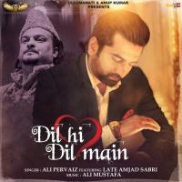 Dil Hi Dil Main Ali Pervaiz,Late Amjad Sabri Song Download Mp3