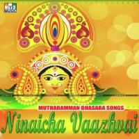 Ninacha Chysan Song Download Mp3