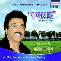 Jhar Uthechhilo Rate Dhiman Choudhury Song Download Mp3