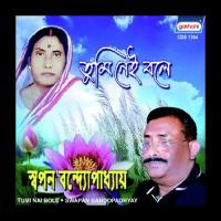 Akashe Otheni Chand Swapan Bandyopadhyay Song Download Mp3