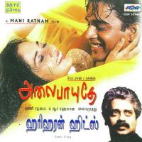 Alai Payuthey Kalyani Menon,Harini,Neyveli Ramalakshmi Song Download Mp3