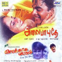 Ammaadi Nee Enna Unni Menon Song Download Mp3