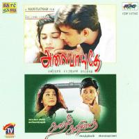 Kadhal Sadugudu S. P. B. Charan,Naveen Song Download Mp3