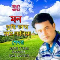 Amar Bedon Shekhor Song Download Mp3