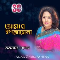 Tomar Lekha Gaanta Momtaz Begum Song Download Mp3