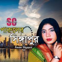 Tumi Bondhu Vuila Parul Song Download Mp3