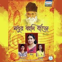 Amar Mollika Bone Madhura Dhwani Baje Song Download Mp3