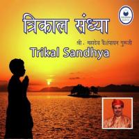 Vidyavivardhan Stotraa Shri Mahadev Vaishampayan Song Download Mp3