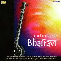 Thumri Bhairavi -Baat Chalat (Dr Nrajan) Dr . N . Rajan Song Download Mp3