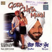 Ishq Ishq Sukhnain Song Download Mp3