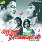 Chinnapura Ondru S.P. Balasubrahmanyam,S.P. Sailaja Song Download Mp3