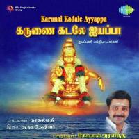 Harivarasanam Gopal Arvind Song Download Mp3