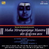 Maha Mrutyunjaya Mantra Cahnting 1 Swami Sukhabodhananda,Prem Kumar Song Download Mp3