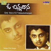 Navvutho Brathakaalira S.P. Balasubrahmanyam Song Download Mp3