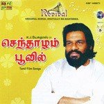 Indha Pacchaikkilikkoru K.J. Yesudas,P. Susheela Song Download Mp3