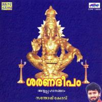 Anandamanadham Santosh Kesav Song Download Mp3