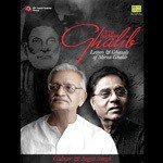 Tere Bayaan Ghalib - Part I Jagjit Singh,Gulzar Song Download Mp3