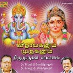 Njanam Alikkavalla Dr. Seerkazhi S. Govindarajan,Dr. Seerkazhi G. Sivachidambaram Song Download Mp3