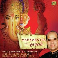 Om Ganesh Jai Gauri Nandan Om  Vyas Song Download Mp3