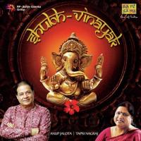 Siddhivinayak Chaalisa Anup Jalota Song Download Mp3