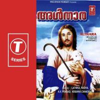 Papangal Neekkuvan(2) Radha,A.V. Prasad,Latikha,Krishna Chandran Song Download Mp3