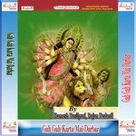 Har Sal Aaib Maiya Ji Rajan Bedardi Song Download Mp3