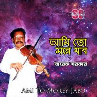 Kemon Kore Vulbo Tare Barek Sarker Song Download Mp3