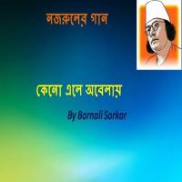 Aji Prothomo Bornali Sorkar Song Download Mp3