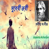 Biswa Sathe Joge Jethay Biharo Jayanta Acharjee Song Download Mp3