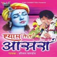 Ek Man Kehta Sheetal Pandey Song Download Mp3