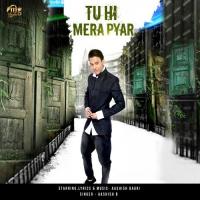 Tu Hi Mera Pyar Aashish B Song Download Mp3