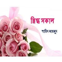 Sinikdho Sakal Shahid Mahmud Song Download Mp3