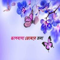 A Buker Majhe Waled Mahmud Song Download Mp3