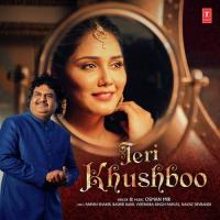 Teri Khushboo Osman Mir Song Download Mp3