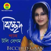 Michey Porbashire Toly Begum Song Download Mp3