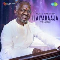 Naayakaa Vinayaka (From "Amma Yevarikaina Amma") P. Susheela,S. P. Balasubrahmanyam Song Download Mp3