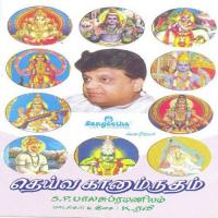 Yengellam Rama Namam S.P. Balasubrahmanyam Song Download Mp3