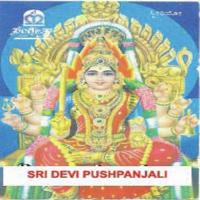 Sri Sarvaanga Sundari Sri Vidyabhushana Song Download Mp3