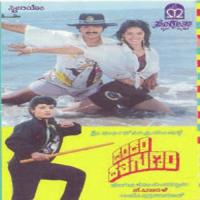 Chinna Nanna S.P. Balasubrahmanyam,Manjula Song Download Mp3