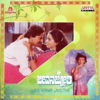 Baredide Ninna S.P. Balasubrahmanyam,S. Janaki Song Download Mp3