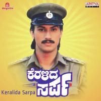 Nagu Nagutha Aaduva S.P. Balasubrahmanyam,Vani Jairam Song Download Mp3