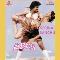 Kogile Kaayuvudu S. Janaki Song Download Mp3