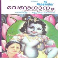 Krishna Krishna Kalyani Menon Song Download Mp3